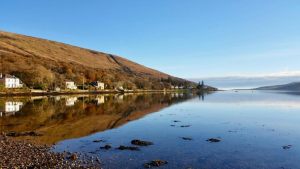 The Colintraive