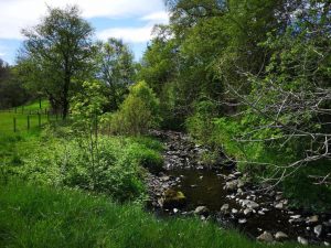 Glen Bay Hot Tub And Rescue Animal Farm Stay