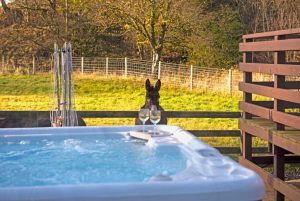 Glen Bay Hot Tub And Rescue Animal Farm Stay