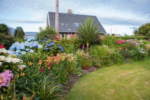 Drumfearne Guesthouse And Tearoom