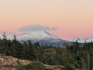 Drumfearne Guesthouse And Tearoom