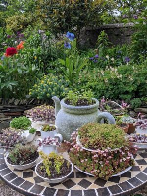 Drumfearne Guesthouse And Tearoom
