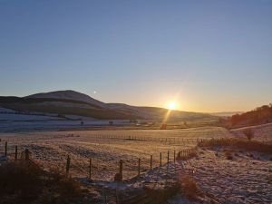 Glen Bay Hot Tub And Rescue Animal Farm Stay