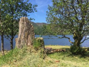 Tigh Na Creige