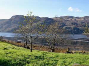 Tigh Na Creige