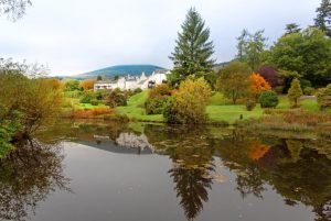 Macdonald Forest Hills Resort