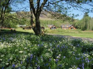 Loch Lomond Waterfront Luxury Lodges